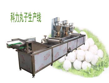 科力丸子生產線